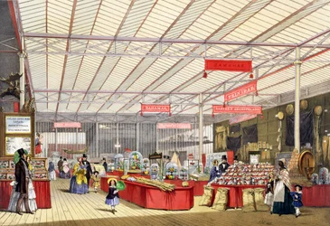 Prodotti coloniali nella Grande Esposizione del 1851, da Dickinsons Comprehensive Pictures